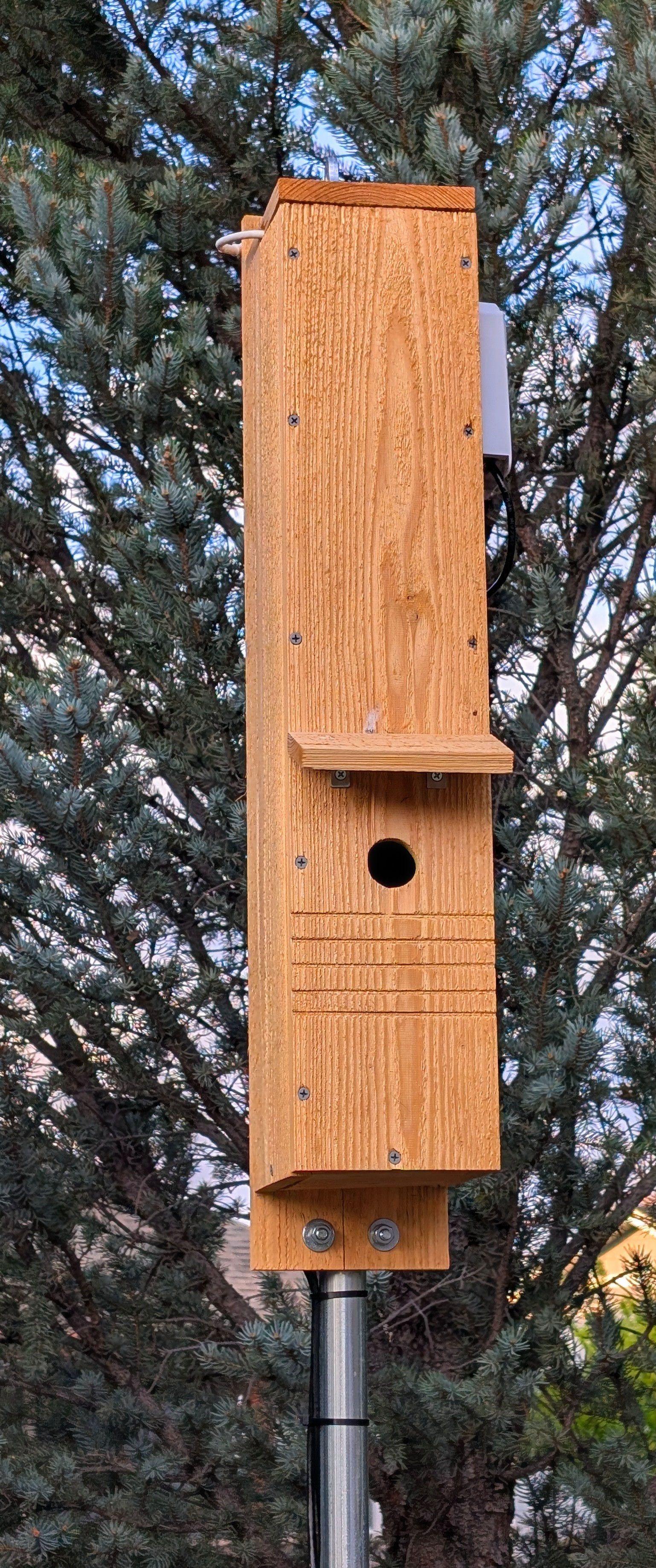 Chickadee Nest Box
